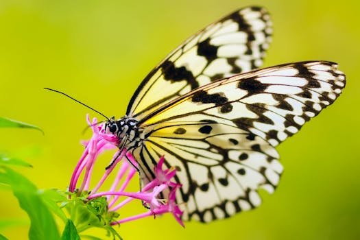 Moda sostenible, biodiversidad, blog de moda sostenible y biodiversidad